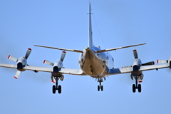 飛行機 