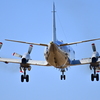 飛行機 