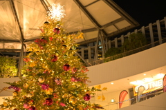 クリスマスツリー2022