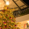 クリスマスツリー2022