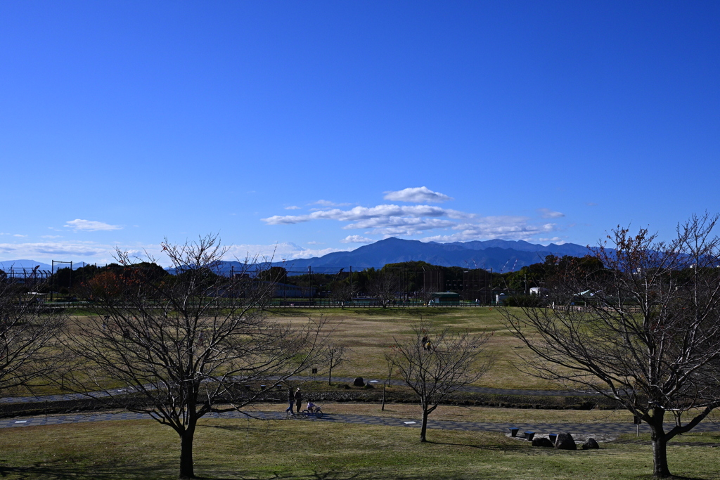 公園