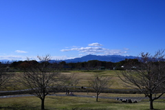 公園