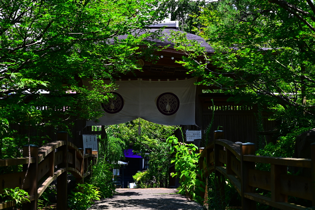 夏の社寺