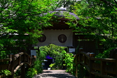 夏の社寺