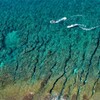 透き通る海