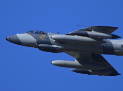 ホーカーハンター