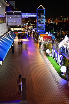 デックスビーチ