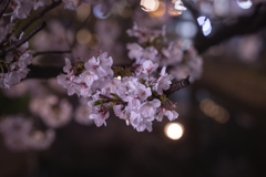 懐春