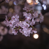 懐春