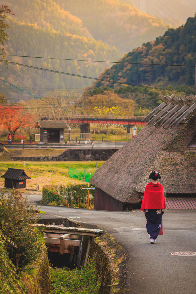 帰京路