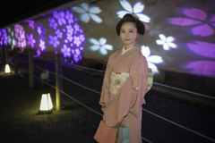 光の花見
