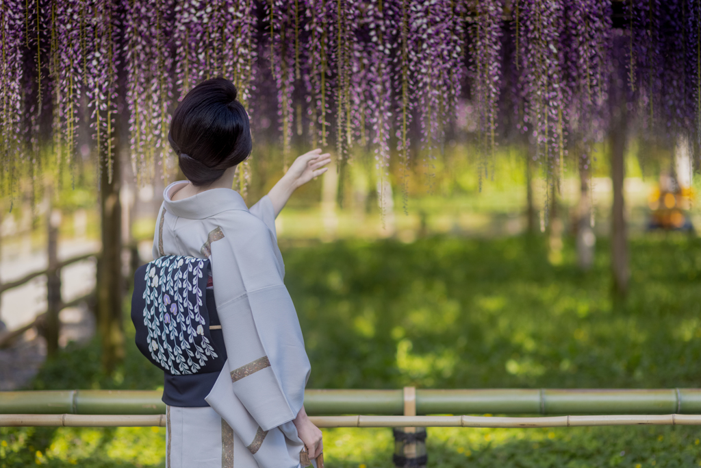 晴天の紫雨