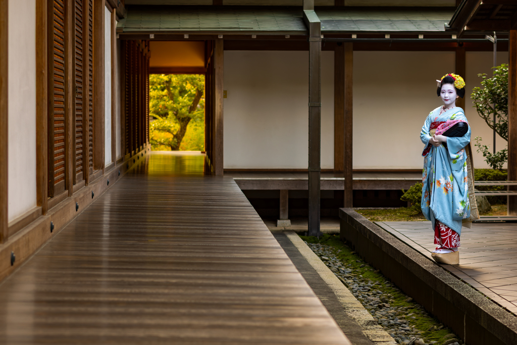 光りと風が渡る廊