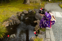 落花流水