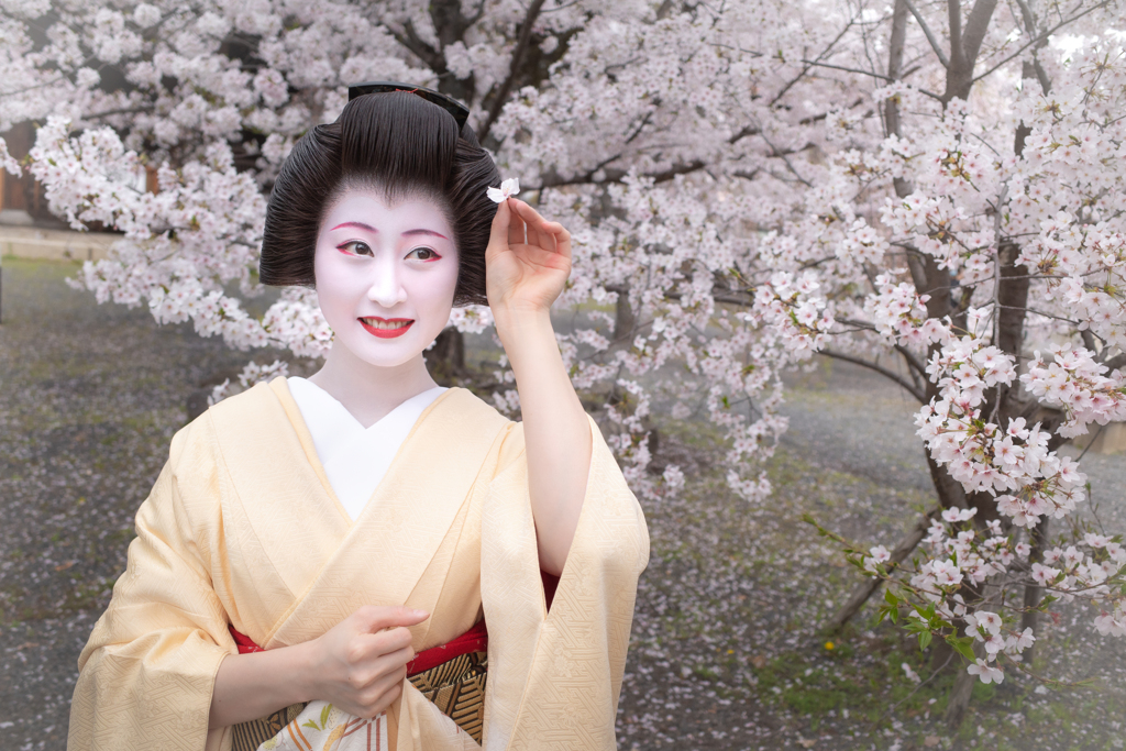 春と遊ぶ