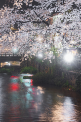 春雨の川