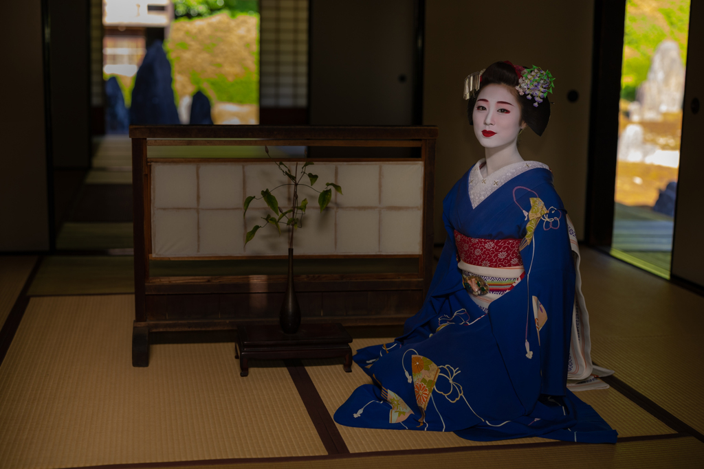 皐月 燦燦と