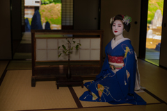 皐月 燦燦と