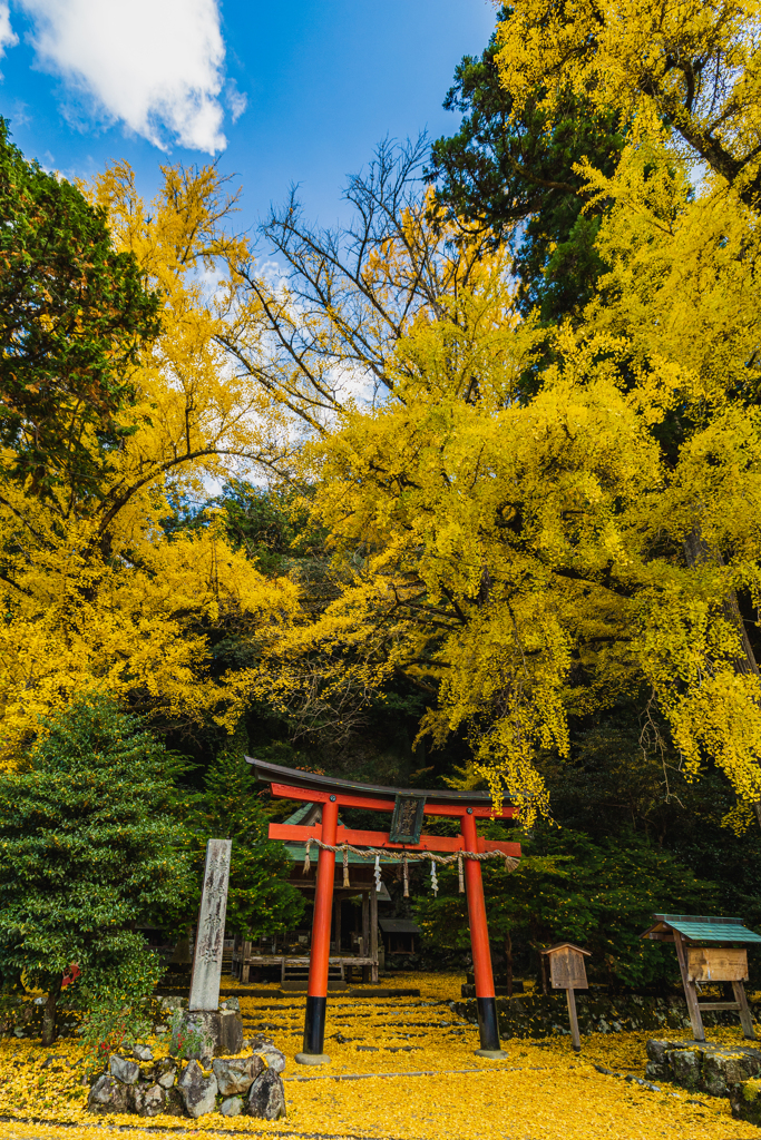 荘厳な秋