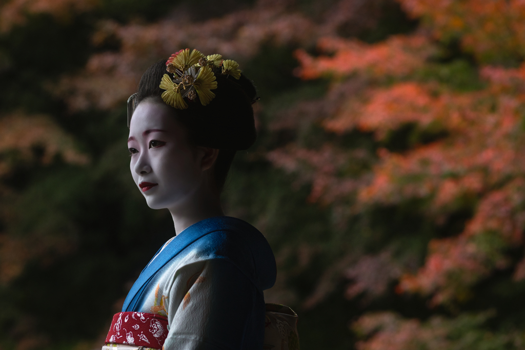 深紅の院