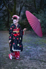 春時雨