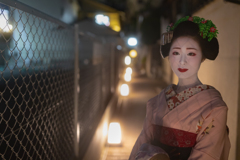 フェンス越しの光