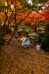 秋彩の園