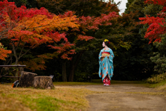 紅葉の先へ