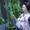 白昼華