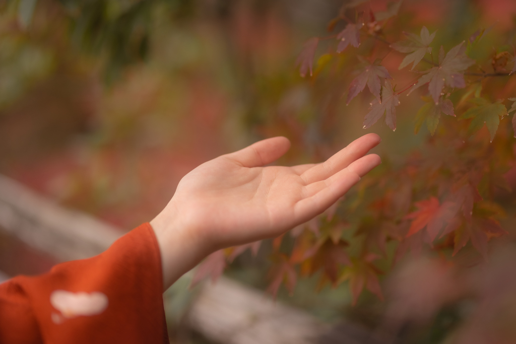 いのちの森