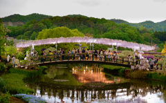 楽園の橋