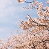2022花見 フィルム写真