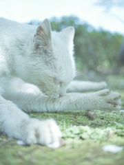 想い思いの時間