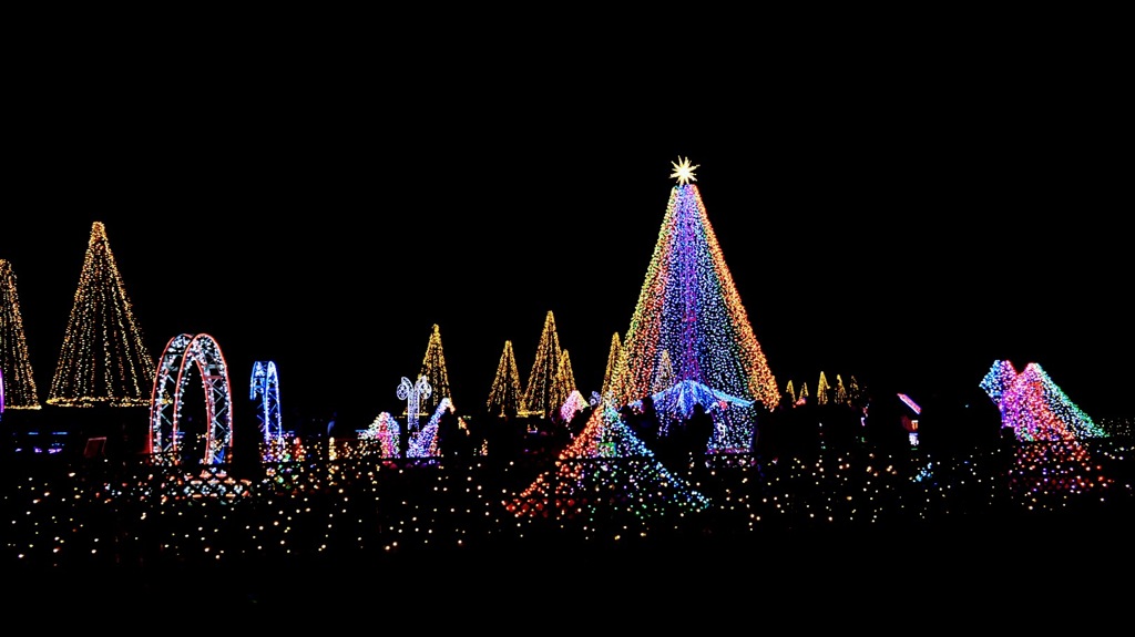 木曽三川公園のイルミネーション4