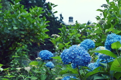 E2F02DE7-73B9-4E3C-9B0C-DAC9D027D691