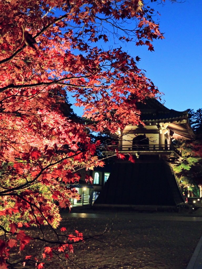 紅葉のライトアップに照らされる永源寺鐘楼