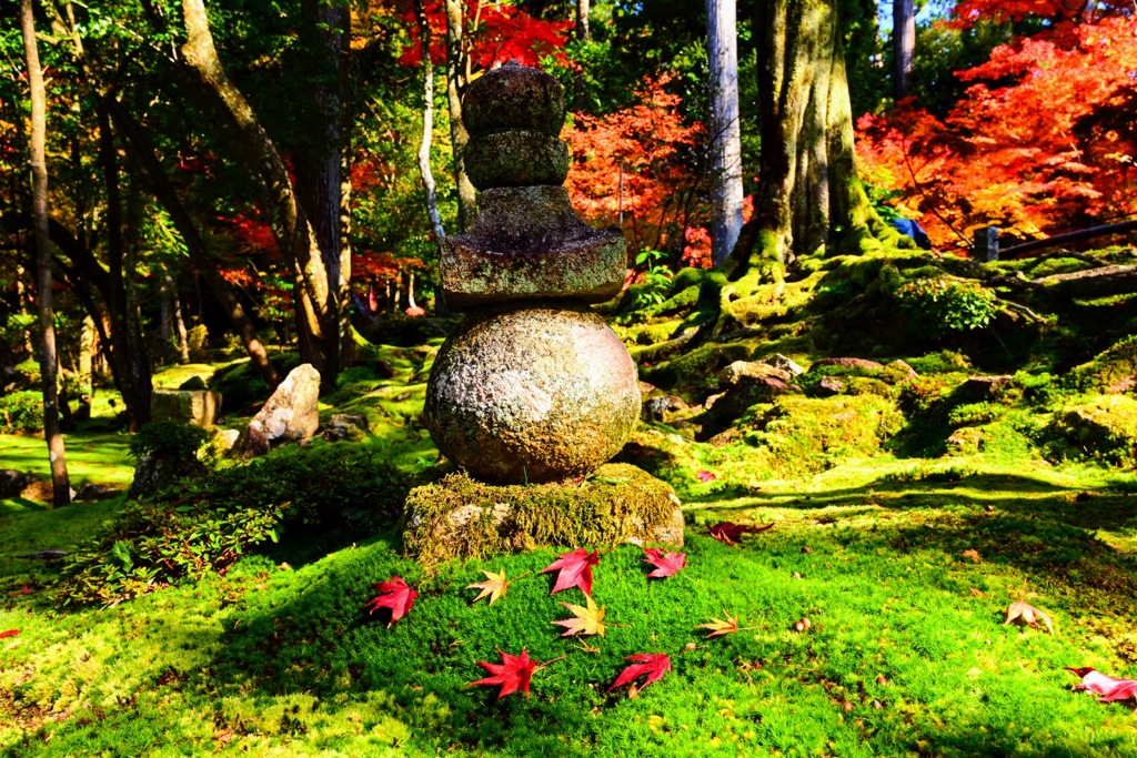 苔に落ちた紅葉(2)