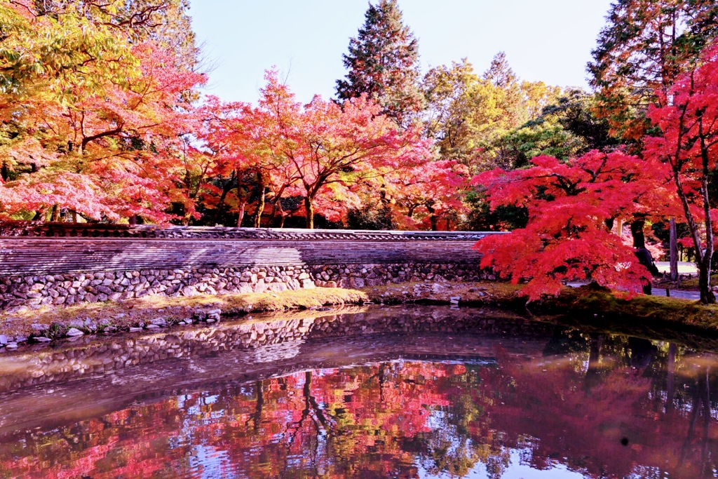 虎渓山永保寺の池に映る紅葉