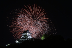 犬山城と花火