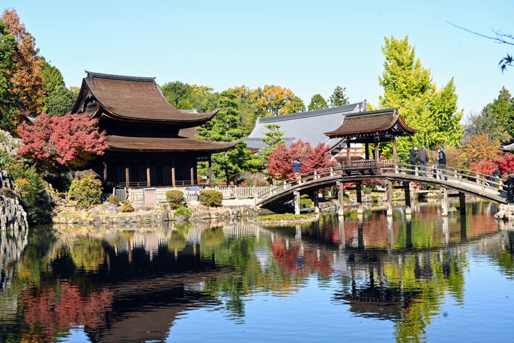 国宝虎渓山永保寺の本殿と紅葉