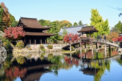 国宝虎渓山永保寺の本殿と紅葉