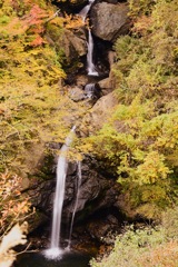 白山国立公園の刈込池近くの滝