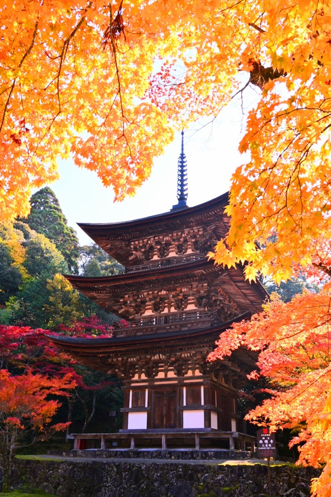 紅葉の中の三重の塔