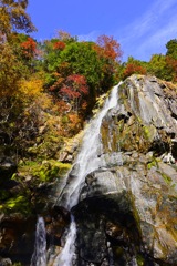 紅葉の大倉滝
