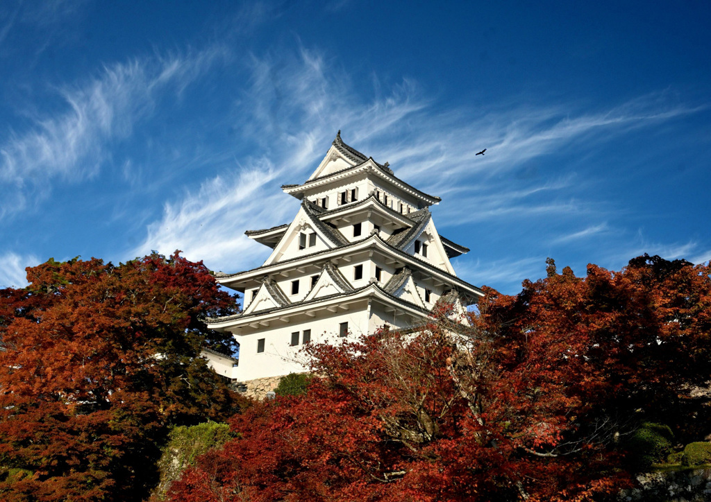 紅葉の郡上八幡城