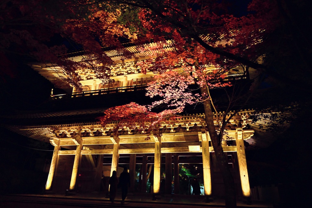 ライトアップの永源寺山門