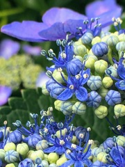 C9600299-0F35-4A04-87EA-FDE69FA7BB79