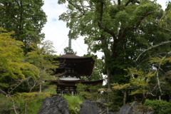 石山寺の美しい多宝塔