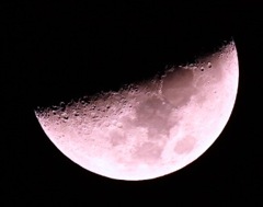 半月の夜