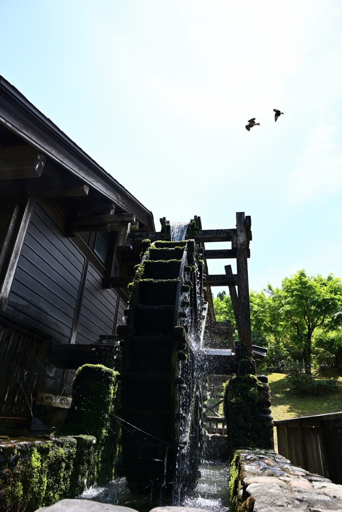水車の頭上を飛び回る鳥
